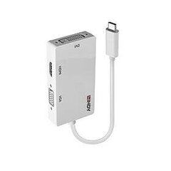 Адаптер USB Lindy Lindy 43273 3.1 C - HDMI, DVI, VGA цена и информация | Адаптеры и USB-hub | kaup24.ee