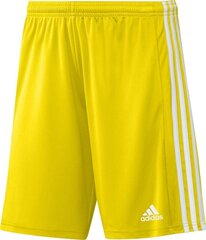 Meeste lühikesed püksid adidas Squadra 21 GN5772, kollane, XXL hind ja info | Jalgpalli varustus ja riided | kaup24.ee