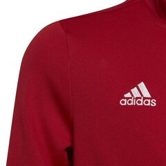 Детский свитер Adidas Entrada 22 Tk Jkt H57563, красный цена и информация | Футбольная форма и другие товары | kaup24.ee