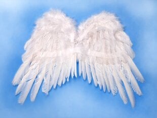 Tiivad Angel's Wings, valge, 53x37 cm, 1 pakk/1 tk цена и информация | Карнавальные костюмы | kaup24.ee