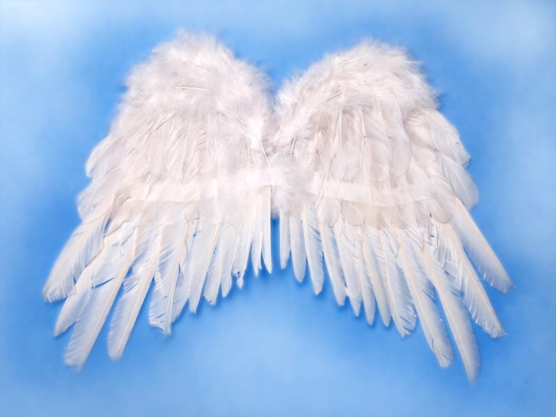 Tiivad Angel's Wings, valge, 53x37 cm, 1 pakk/1 tk цена и информация | Karnevali kostüümid | kaup24.ee