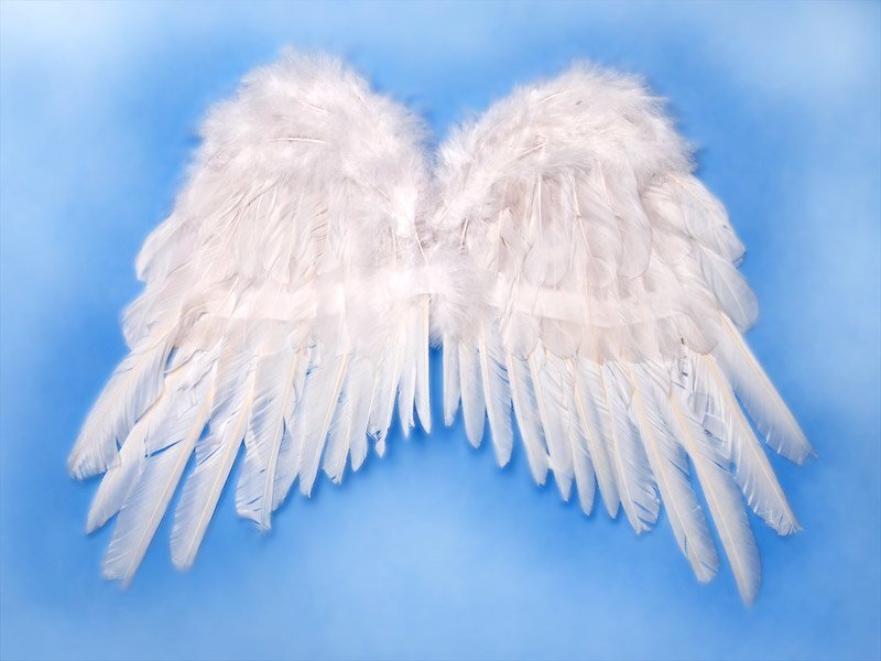 Tiivad Angel's Wings, valge, 53x37 cm, 1 karp/100 (1 pakk/1 tk) цена и информация | Karnevali kostüümid | kaup24.ee