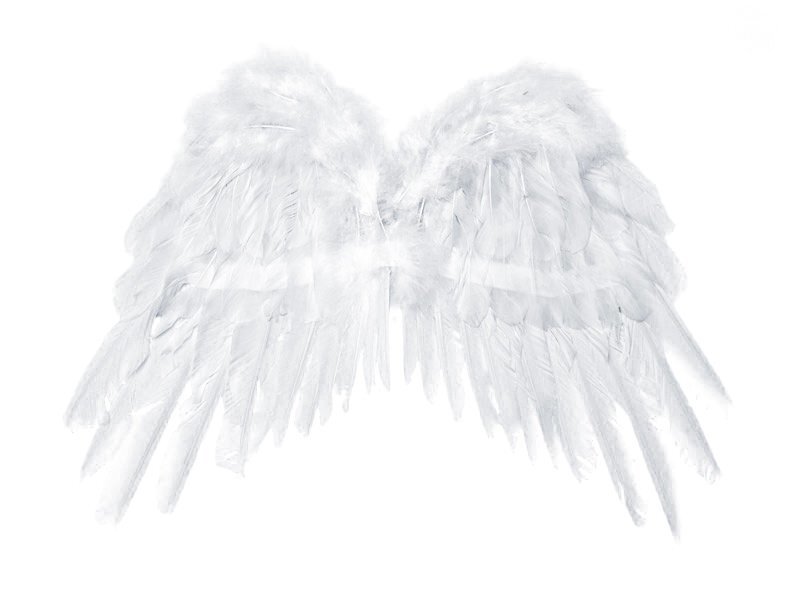 Tiivad Angel's Wings, valge, 53x37 cm, 1 karp/100 (1 pakk/1 tk) цена и информация | Karnevali kostüümid | kaup24.ee