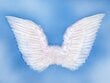 Tiivad Angel's Wings, valge, 75x45 cm, 1 pakk/1 tk hind ja info | Karnevali kostüümid | kaup24.ee