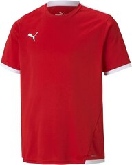 Рубашка Puma Unisex-Child, Puma Red-Puma White, 116 цена и информация | Футбольная форма и другие товары | kaup24.ee