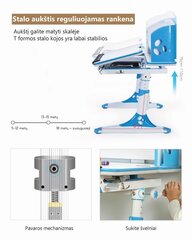 Ergonoomiline kirjutuslaud iStudy E120, roosa hind ja info | Arvutilauad, kirjutuslauad | kaup24.ee