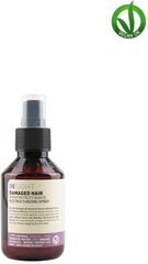 Спрей для поврежденных волос INSIGHT DAMAGED HAIR Spray 100 мл цена и информация | Маски, масла, сыворотки | kaup24.ee