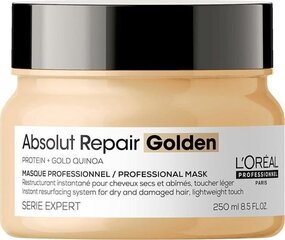 Восстанавливающая маска для волос L’Oreal Professionnel Serie Expert Absolut Repair Golden 250 мл цена и информация | Маски, масла, сыворотки | kaup24.ee