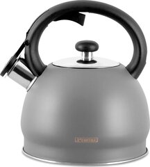 TMC11G PROMIS Kettle 2.0 l, MATEO, gray hind ja info | Kohvikannud, teekannud | kaup24.ee