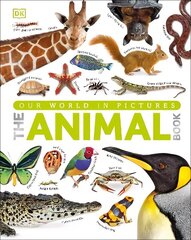 Our World in Pictures The Animal Book: A Visual Encyclopedia of Life on Earth цена и информация | Книги для подростков и молодежи | kaup24.ee