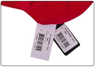 Мужская кепка GUESS TRIANGLE LOGO CAP RED M1YZ57WBN60 G532 35642 цена и информация | Мужские шарфы, шапки, перчатки | kaup24.ee