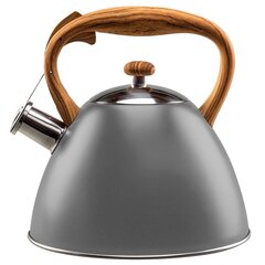 Стальной чайник со свистком, 3 л, серый цена и информация | Чайники, кофейники | kaup24.ee