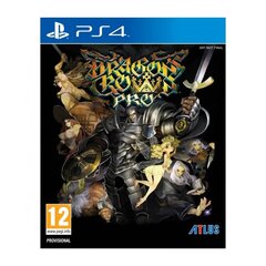 Dragon's Crown Pro PS4 mäng hind ja info | Arvutimängud, konsoolimängud | kaup24.ee