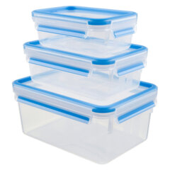 Набор контейнеров для хранения продуктов Masterseal Fresh Box, 0.55 / 1.00 / 2.30 л, прямоугольный, 3 шт. цена и информация | Посуда для хранения еды | kaup24.ee