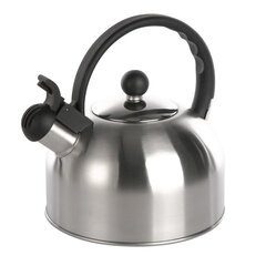 чайник из нержавеющей стали 2,5 л цена и информация | Чайники, кофейники | kaup24.ee
