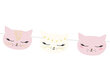 Vanik Cat Mix 1,4 m (1 karp/ 50 pakki) hind ja info | Peokaunistused | kaup24.ee