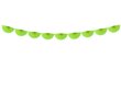 Vanik Rosettes Green Apple 30 cm x 3 m hind ja info | Peokaunistused | kaup24.ee