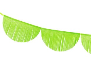 Гирлянда Fringe Green Apple 32 см x 3 м (1 коробка / 50 шт) цена и информация | Гудки для вечеринки Clown Face (4шт.) | kaup24.ee