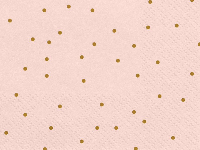 Salvrätikud Dots 33x33 cm (1 pakk/ 20 tk) цена и информация | Ühekordsed nõud | kaup24.ee