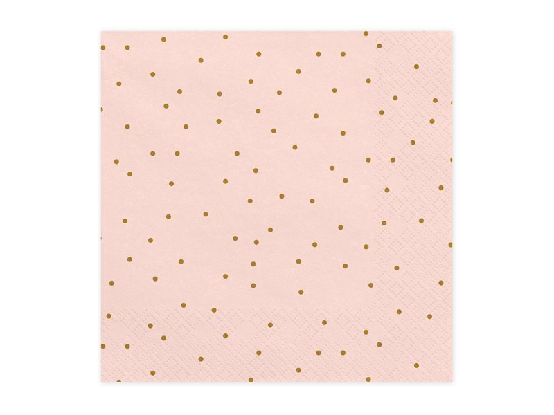 Salvrätikud Dots 33x33 cm (1 pakk/ 20 tk) цена и информация | Ühekordsed nõud | kaup24.ee