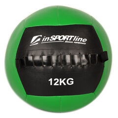 Topispall inSPORTline Walbal 12 kg hind ja info | Topispallid | kaup24.ee