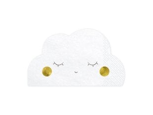 Salvrätikud Cloud 32x19 cm (1 karp / 12 pakki) (1 pakk / 20 tk) hind ja info | Ühekordsed nõud | kaup24.ee