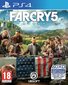 Far Cry 5 (PS4) цена и информация | Arvutimängud, konsoolimängud | kaup24.ee