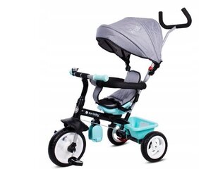 Kolmerattaline jalgratas Sun Baby 2in1 Fresh 360, türkiissinine цена и информация | Трехколесные велосипеды | kaup24.ee