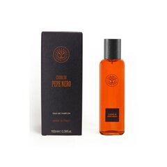 Parfüümvesi Erbario Toscano Black Pepper EDP meestele 100 ml hind ja info | Meeste parfüümid | kaup24.ee