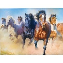 Пазл Trefl Horses, 2000 д. цена и информация | Пазлы | kaup24.ee