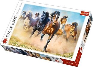 Пазл Trefl Horses, 2000 д. цена и информация | Пазлы | kaup24.ee