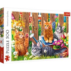 Головоломка Trefl Kittens In The Garden, 500 d. цена и информация | Пазлы | kaup24.ee