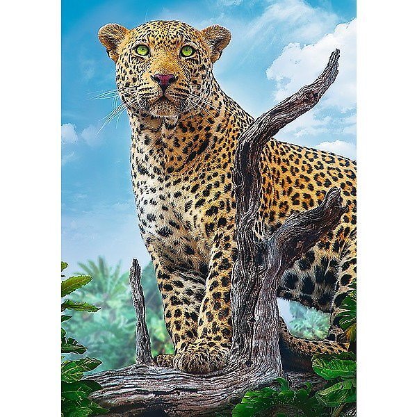 Pusle Trefl Wild Leopard, 500-osaline цена и информация | Pusled | kaup24.ee