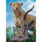 Pusle Trefl Wild Leopard, 500-osaline hind ja info | Pusled | kaup24.ee