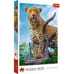 Головоломка Trefl Wild Leopard, 500 d. цена и информация | Пазлы | kaup24.ee