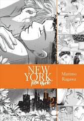 New York, New York, Vol. 1 цена и информация | Фантастика, фэнтези | kaup24.ee