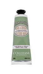 Kätekreem L'Occitane Almond Delicious, 75 ml цена и информация | Кремы, лосьоны для тела | kaup24.ee