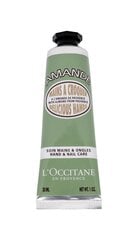 Крем для рук L'Occitane Almond Delicious, 75 мл цена и информация | Кремы, лосьоны для тела | kaup24.ee