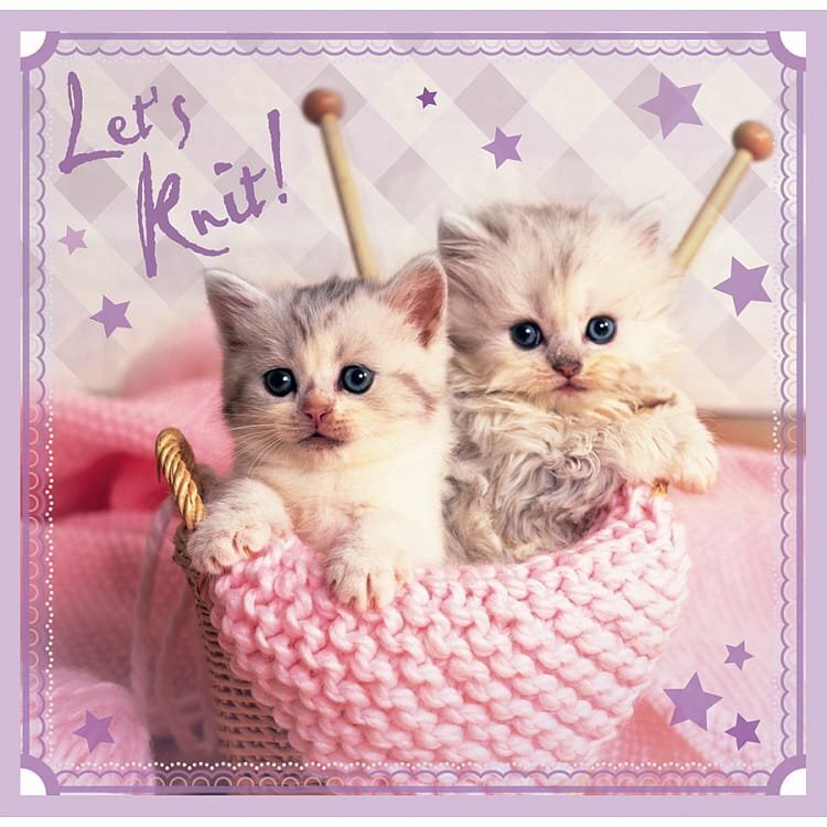 Pusle komplekt Trefl 3 in 1 Sweet Kittens, 20+36+50 цена и информация | Pusled | kaup24.ee