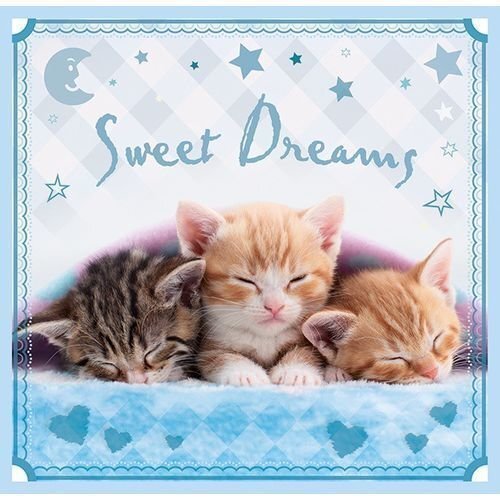 Pusle komplekt Trefl 3 in 1 Sweet Kittens, 20+36+50 hind ja info | Pusled | kaup24.ee