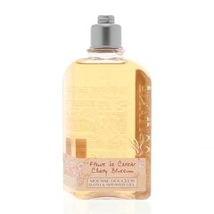 Vanni- ja dušigeel kirsiõitega L´Occitane, 250 ml hind ja info | L'Occitane Kosmeetika, parfüümid | kaup24.ee
