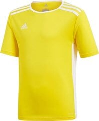 Футболка Adidas TeamWear, желтая цена и информация | Футбольная форма и другие товары | kaup24.ee