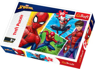 Pusle Trefl Spiderman, 30-osaline hind ja info | Pusled | kaup24.ee