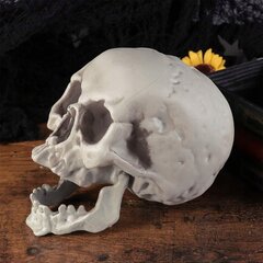 Suur kunstlik kolju halloweeni dekoratsioon 21Cm Halloweeni dekoratsioon 21Cm цена и информация | Праздничные декорации | kaup24.ee