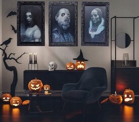 3D pilt kummituslik nägu muutuv mees Halloween Horror цена и информация | Праздничные декорации | kaup24.ee