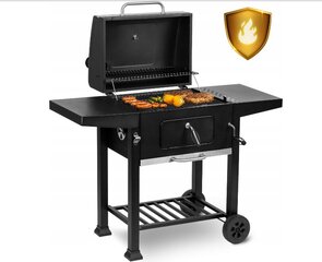 Berdseni grill 55 x 41,5 cm hind ja info | Grillid | kaup24.ee