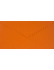 Dekoratiivsed ümbrikud Sirio Color, DL 11x22 Arancio oranž, 115g, 25tk. цена и информация | Конверты, открытки | kaup24.ee