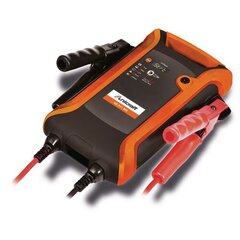 Käivitusabi 12V + akupank 2000 A professionaalseks kasutamiseks, SB 201 MS hind ja info | Auto akulaadijad | kaup24.ee