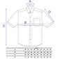 Särgid meestele NORDIC suured suurused, sirge siluett - Lühikeste varrukatega 9194LK-50 цена и информация | Meeste särgid ja triiksärgid | kaup24.ee