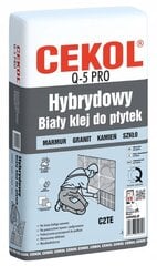 Hübriidplaadiliim Q5 pro valge 5kg цена и информация | Клей | kaup24.ee